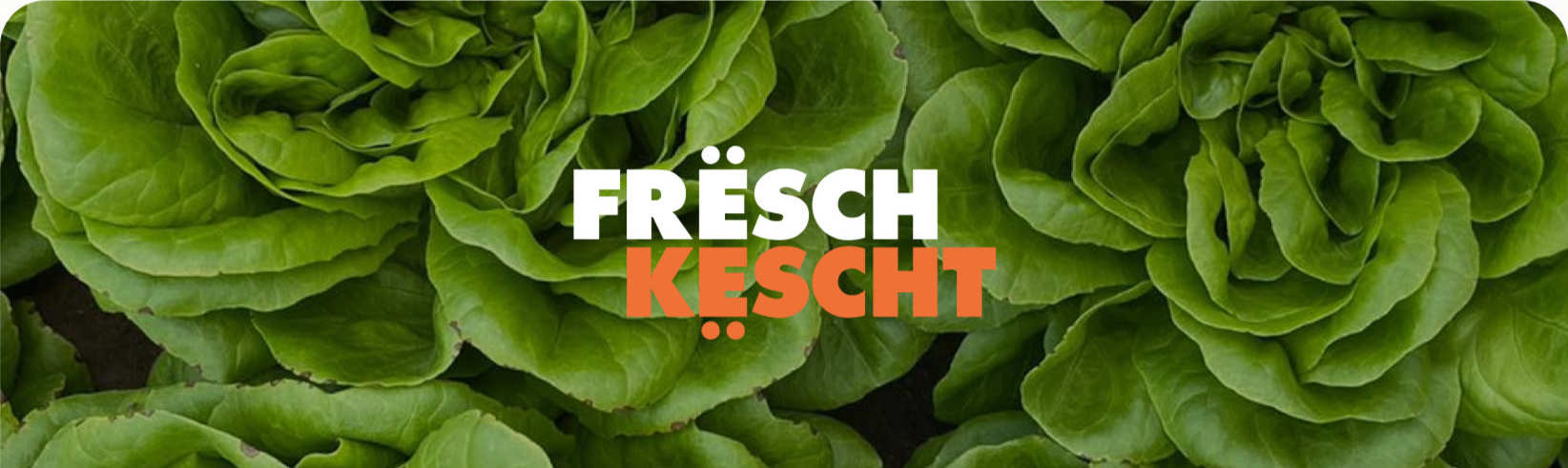 Read FrëschKëscht's story
